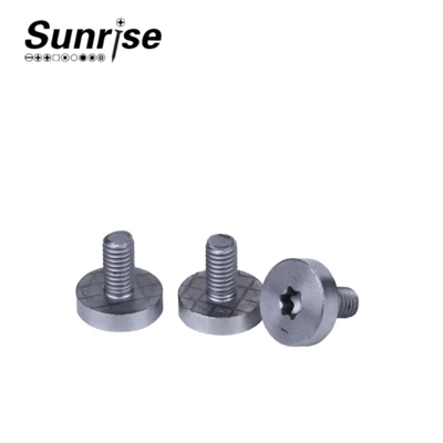 Šrouby s hlavou Torx Drive Machine